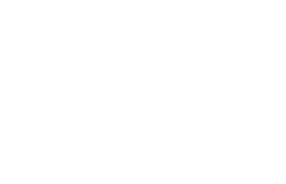 Michel 2000